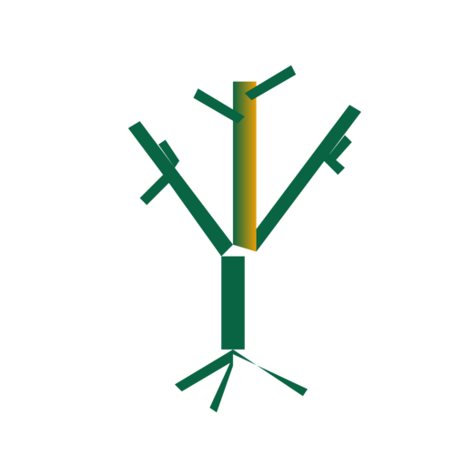 ARCHITECTURE CONSTRUCTION INVESTMENT COMPANY MOBIOCAD SP Z O O